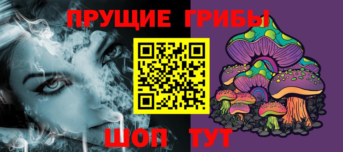 Стрежевой  Псилоцибиновые грибы MAGIC MUSHROOMS  Вход с VPN  Псилоцибиновые грибы прущие грибы 